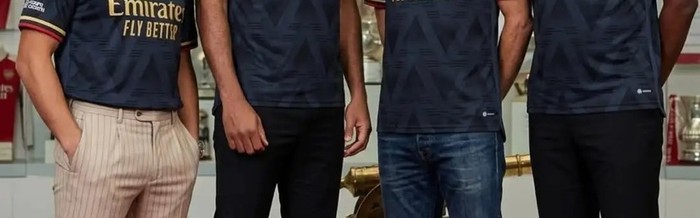 江南体育app-阿森纳球迷热议当前阵容最需补强人选|法比奥·维埃拉|马丁·厄德高_新浪体育_新浪新闻